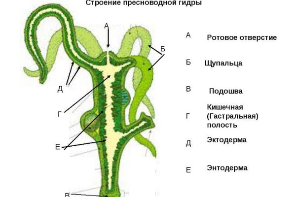 Кракен онион ссылки