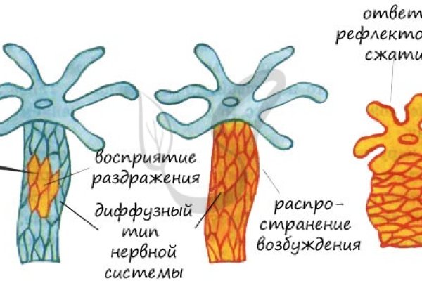 Kraken ссылка тор 2krnk biz kraken17ate pro